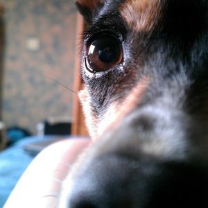 Meet your Posher, Grace